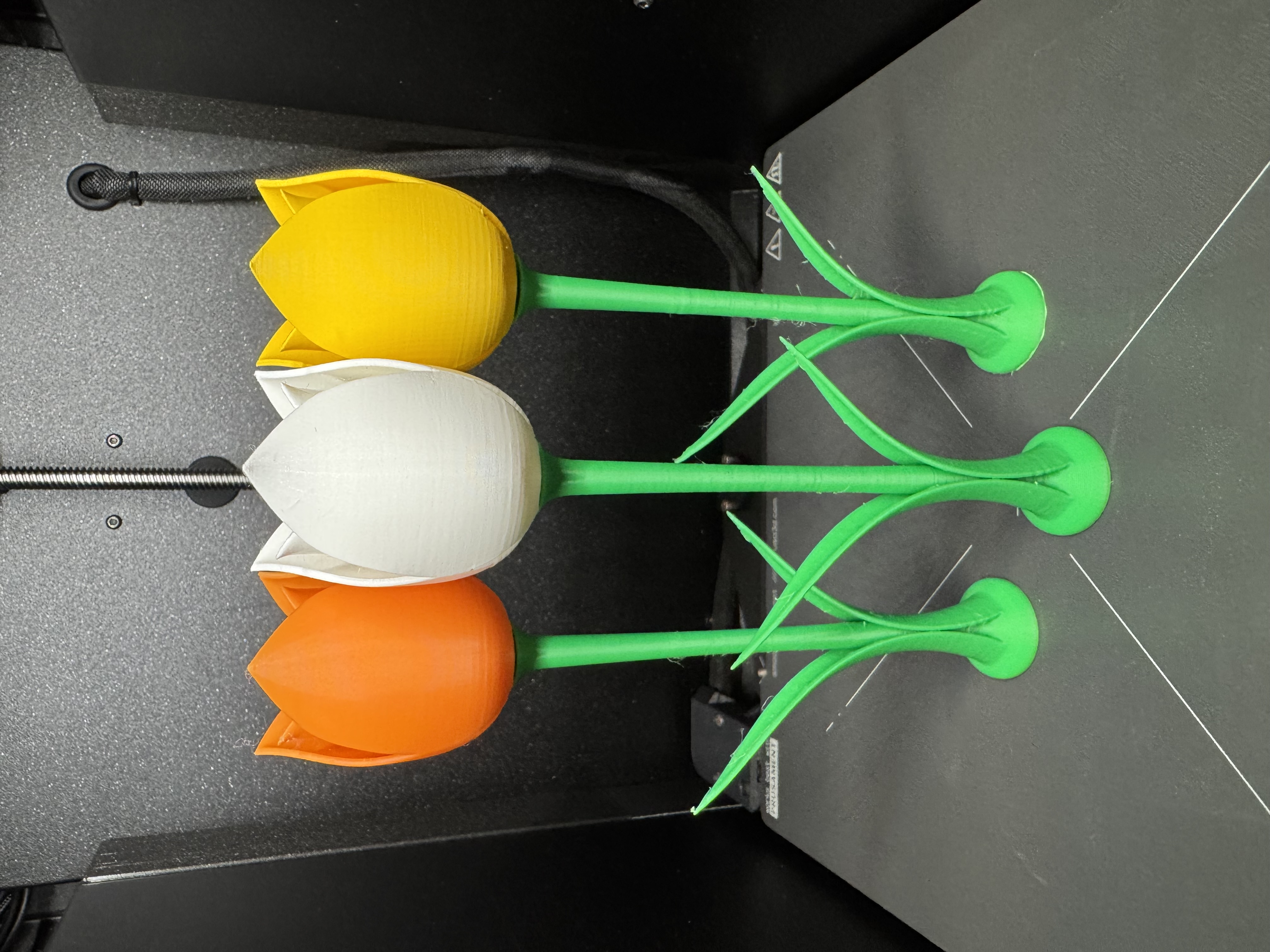 Tulip with Stem (Interlocking) 3D model