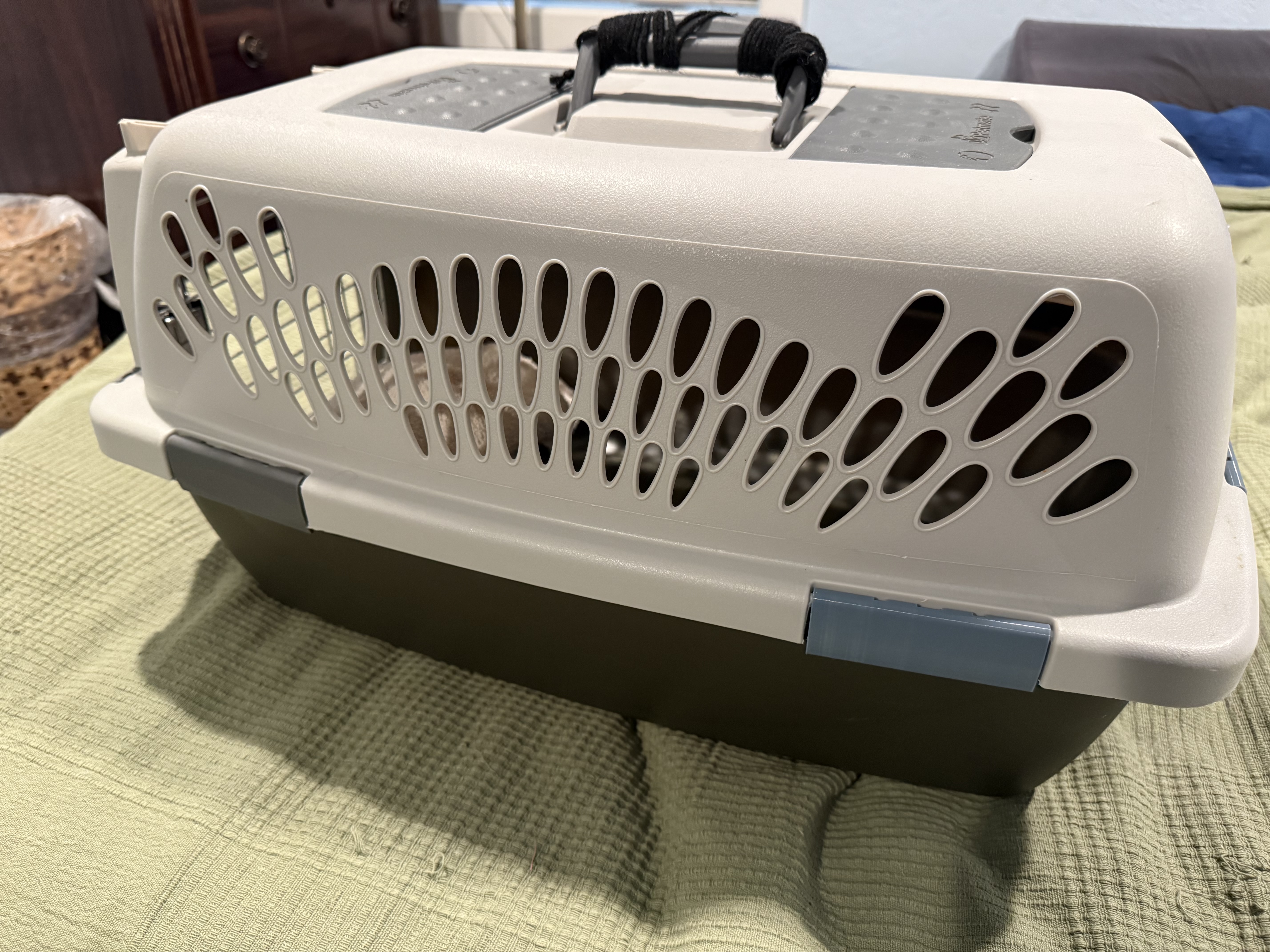 Pet Taxi Pet Carrier Clip