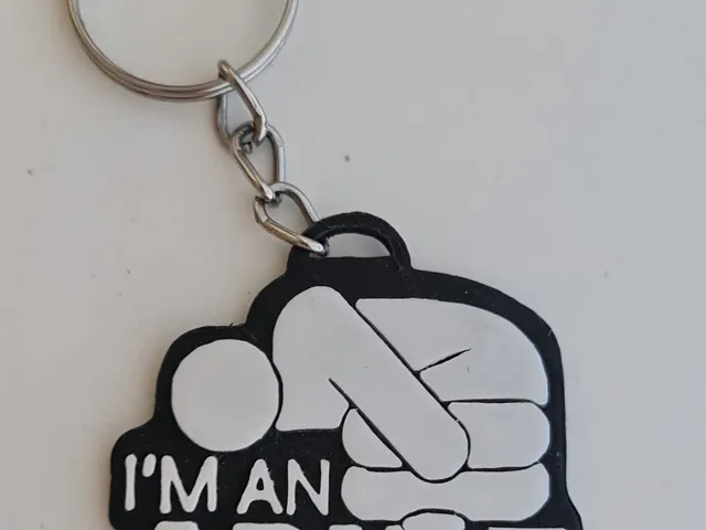 I'm an Adult Key Ring