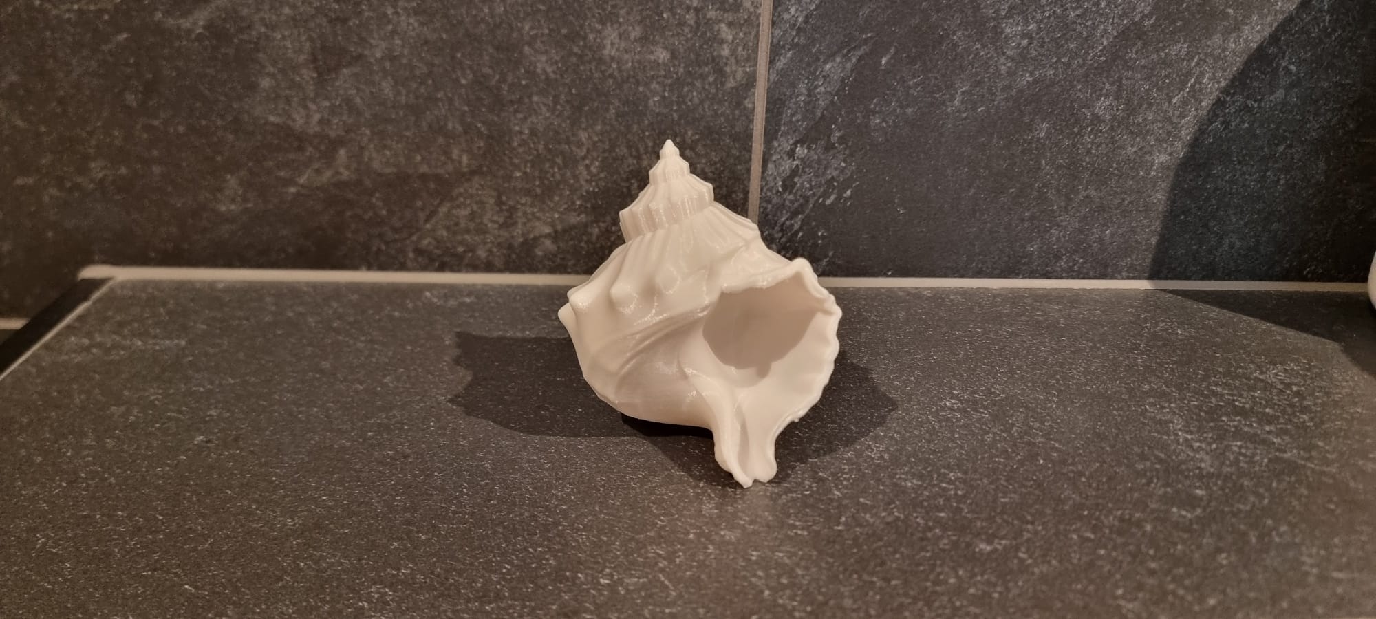 Miniatura 4 do modelo 3D Shell Decor