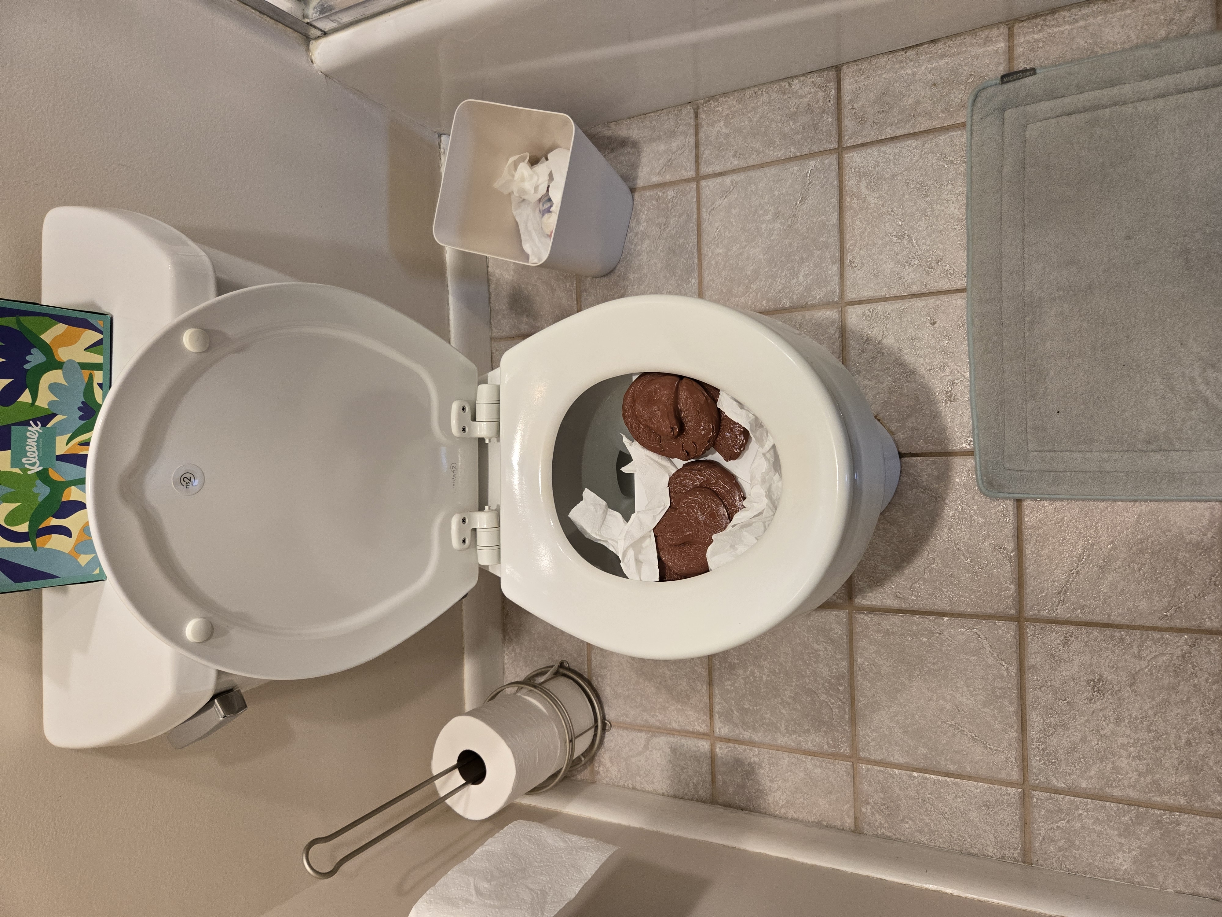 The Ultimate Toilet "Out of Order" Prank