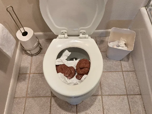 The Ultimate Toilet "Out of Order" Prank