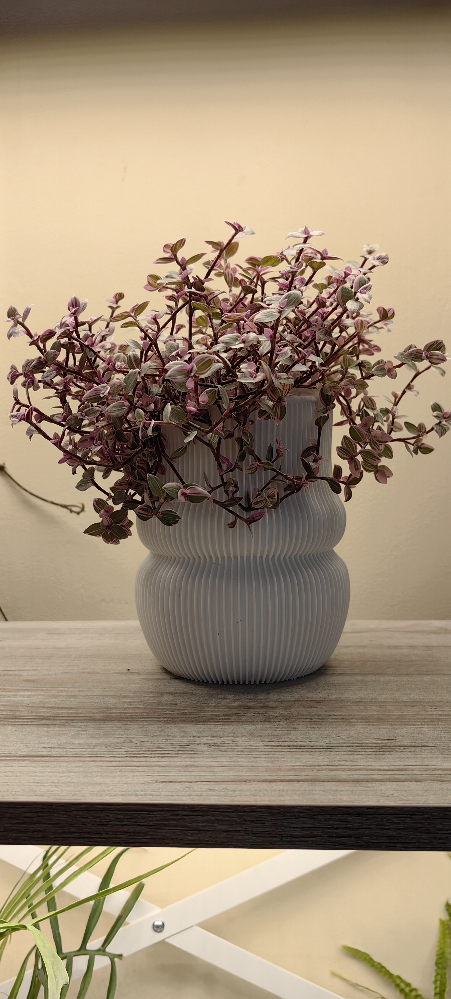 Ripple Vase Planter / Рифлёная ваза-кашпо