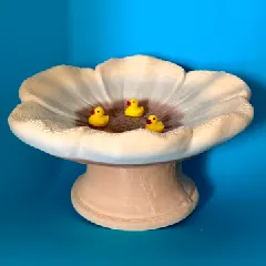Bird bath (scanned)