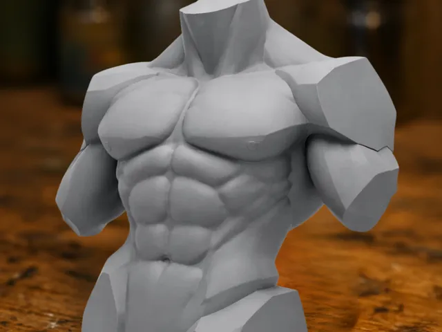 Male Anatomy Torso — Stylized Muscular Bust