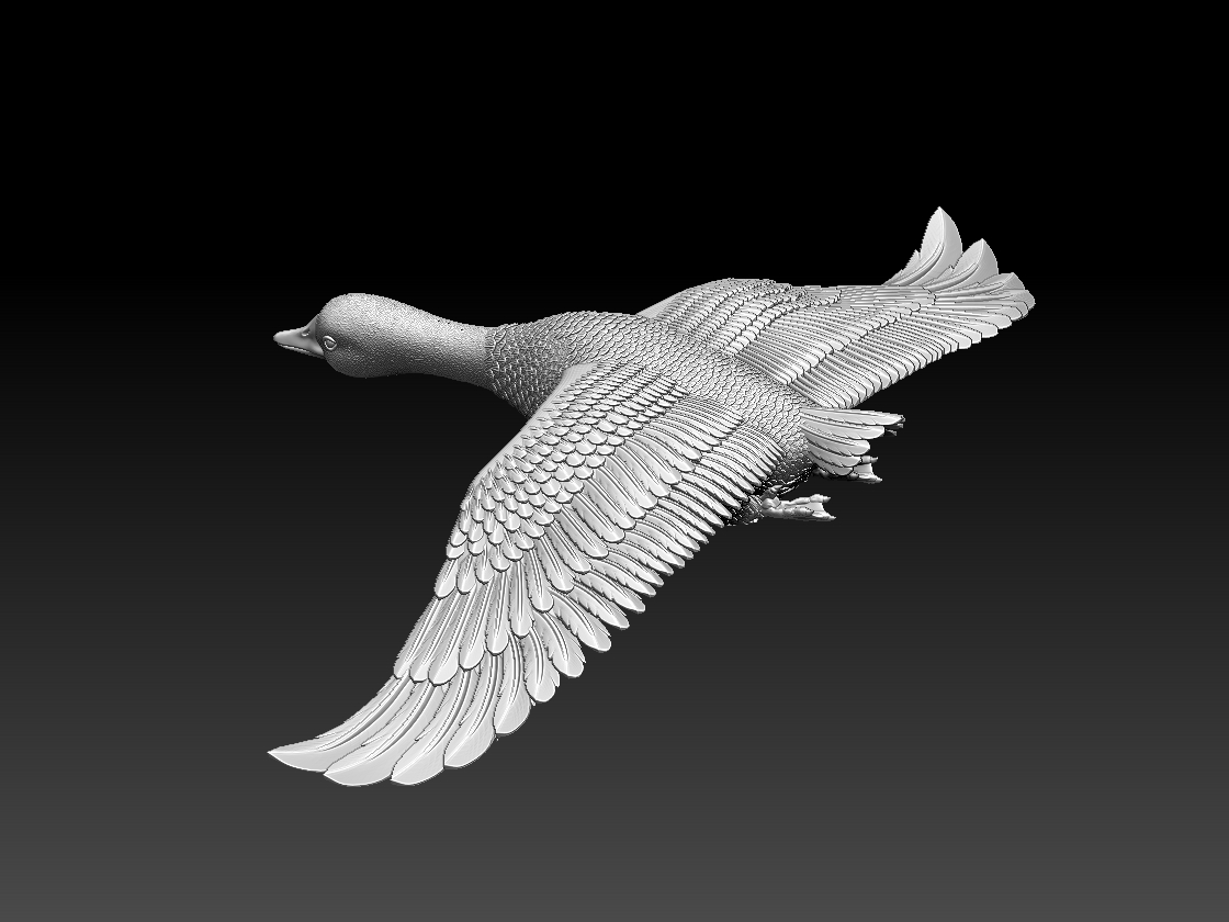 goose
