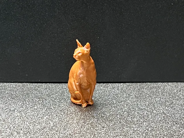 Sitting Sphynx Cat