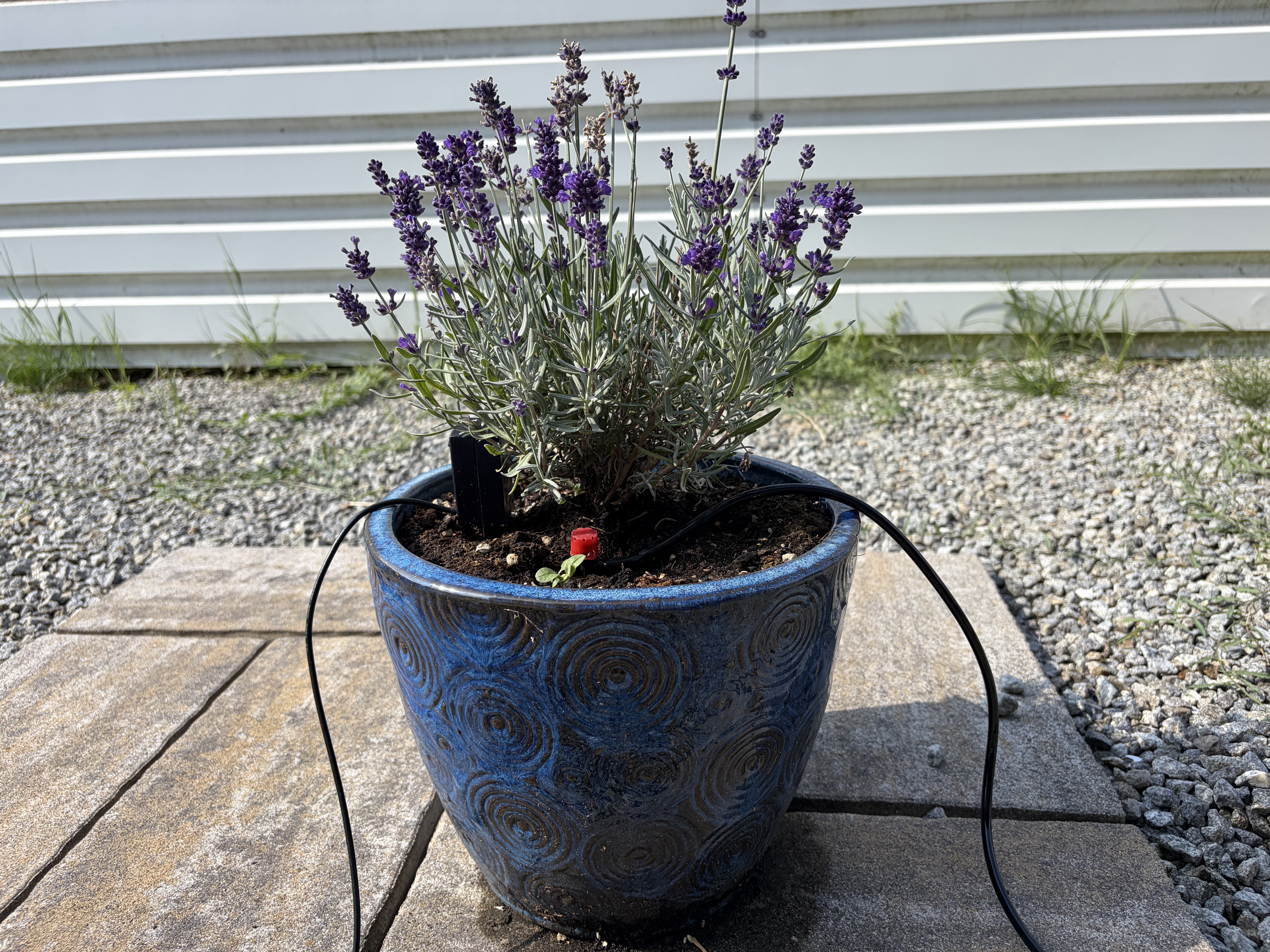 ESP32 Irrigation (Autonomous) — miniatura 9