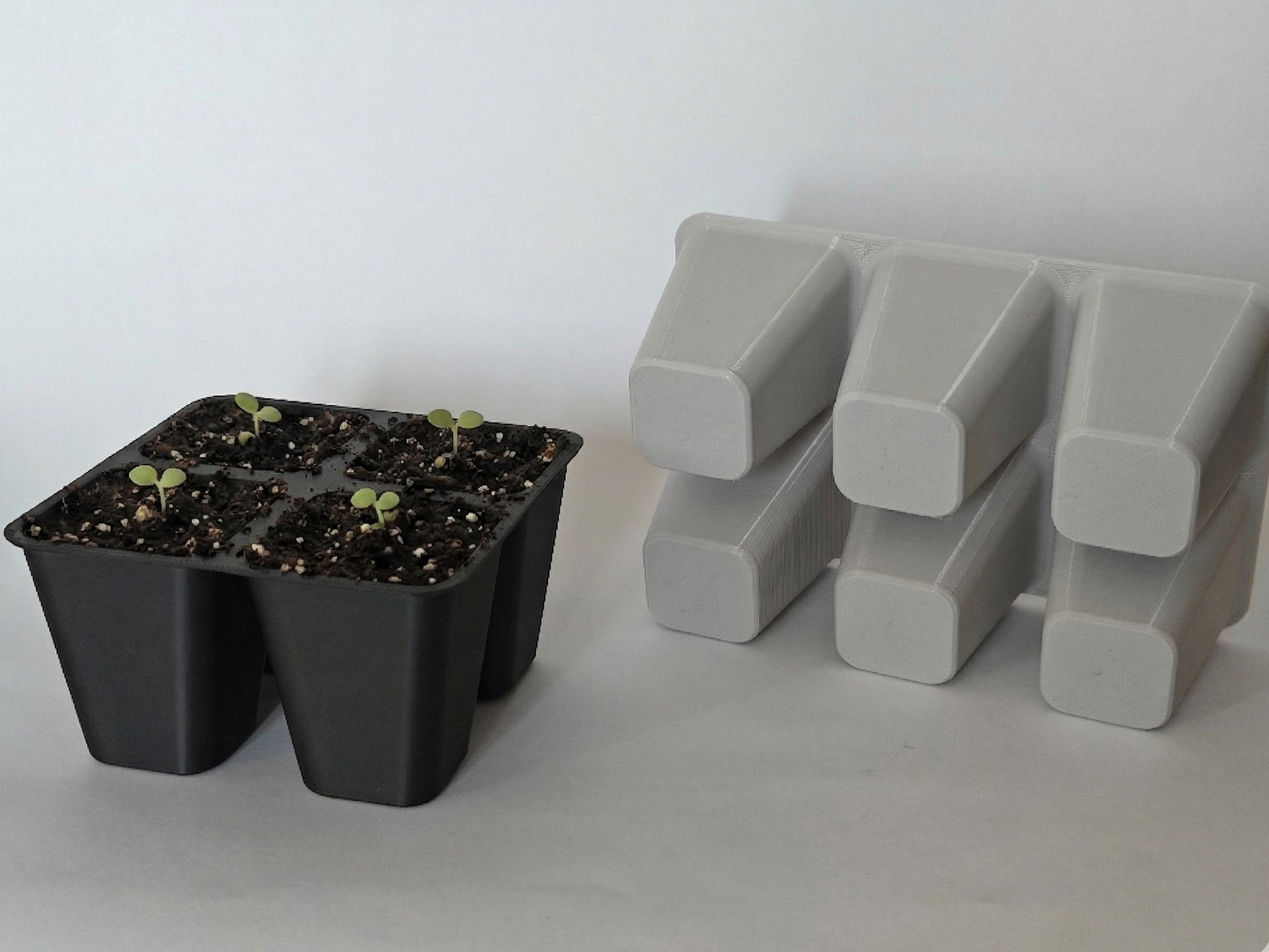 Plant Seedling Starter Trays | Standard 45mm | 14 Sizes