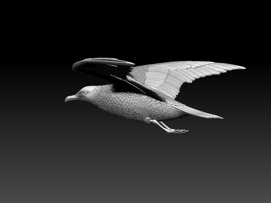 seagull — miniatura 8