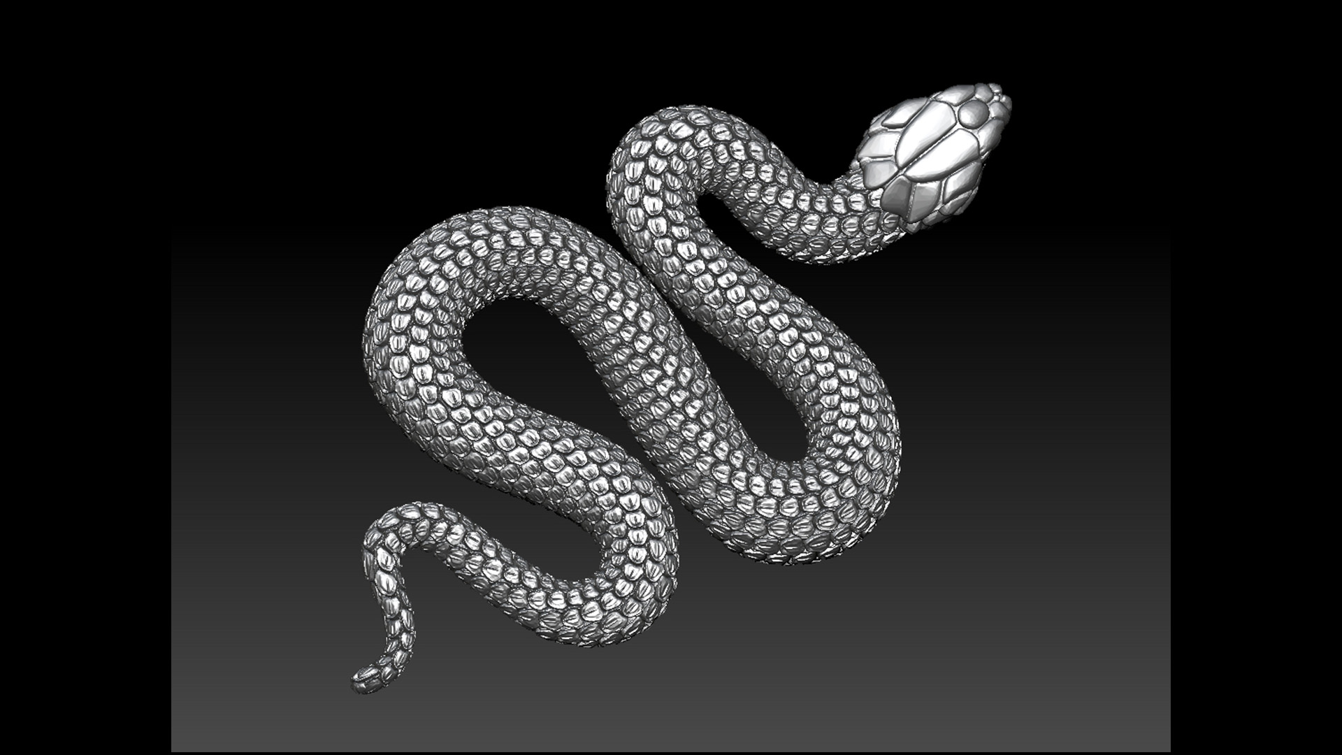 snake