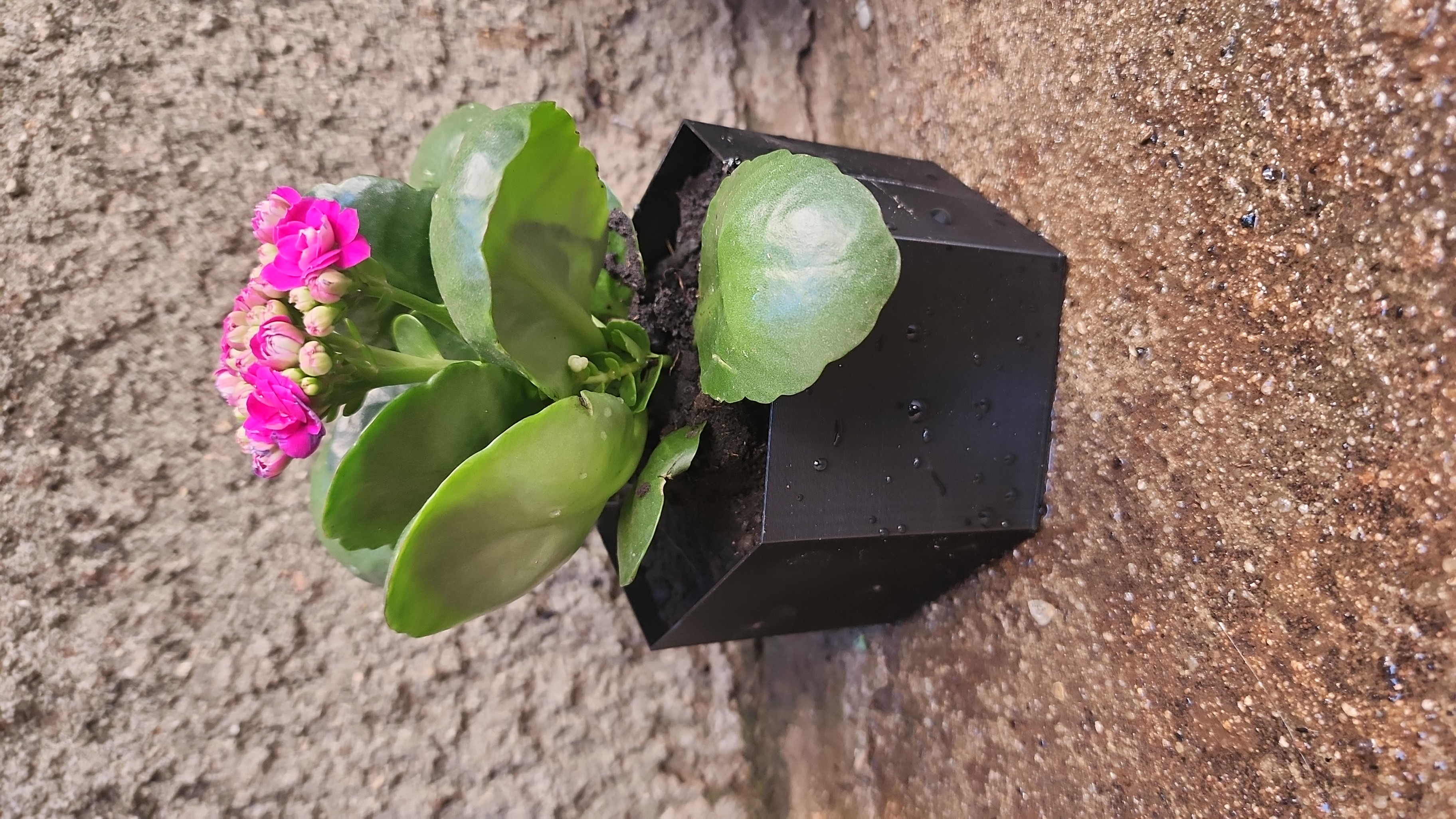 Hexagonal vase 20cm
