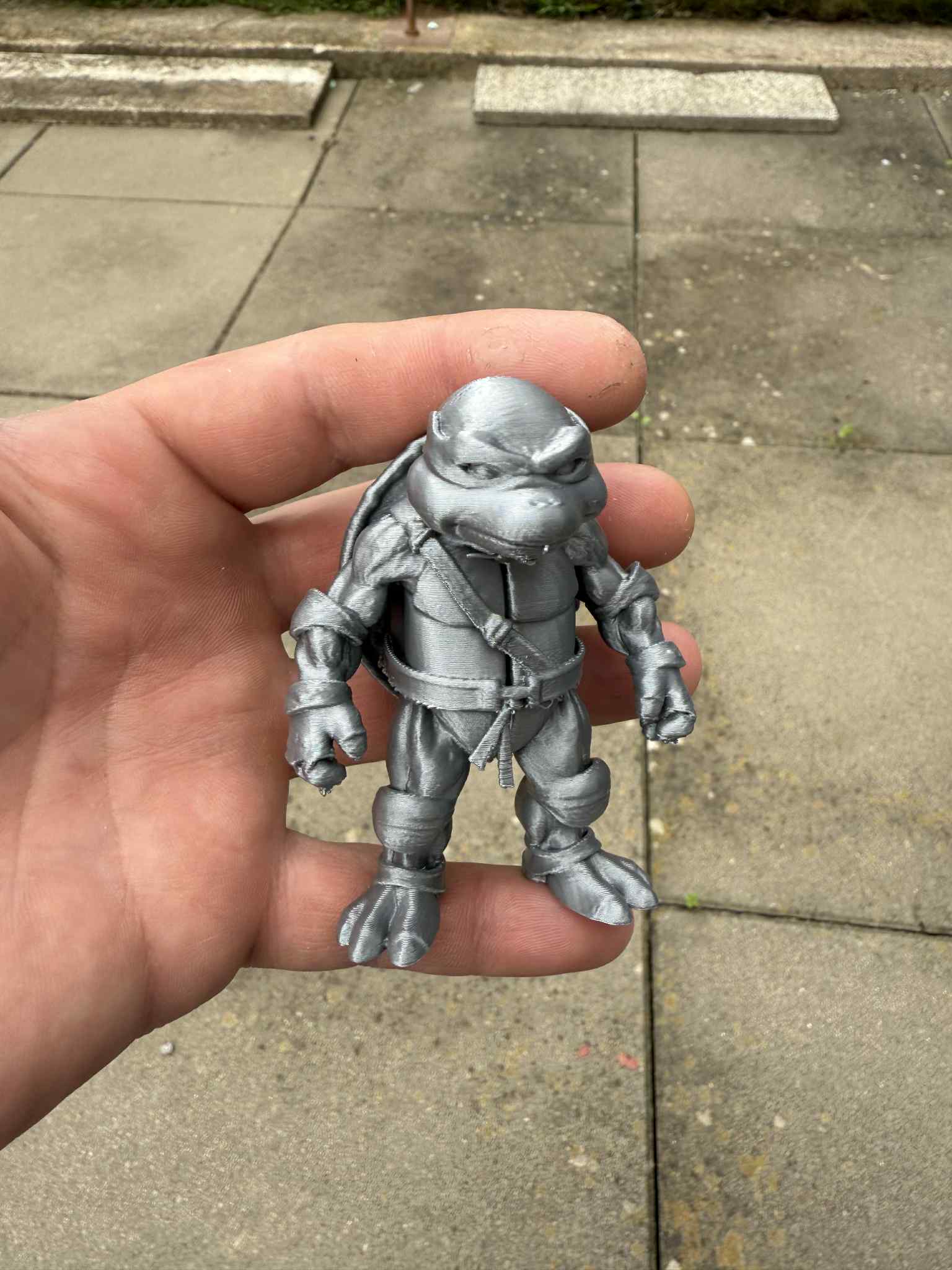 Teenage Mutant Ninja Turtles