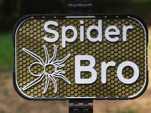 Spider Bro sign