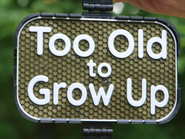 Too Old to Grow Up sign