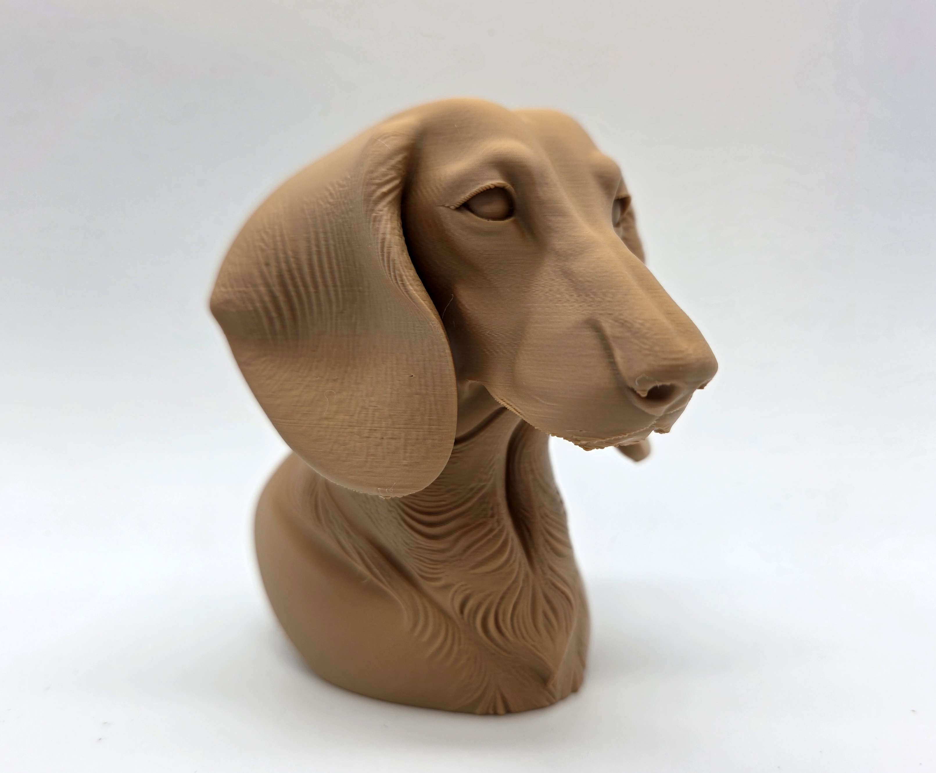 Dachshund Bust — miniatura 2