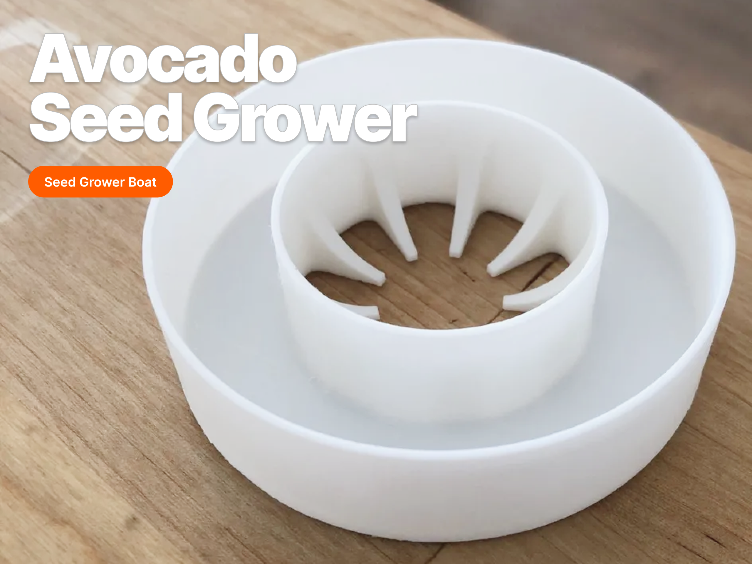 Avocado Seed Grower Boat