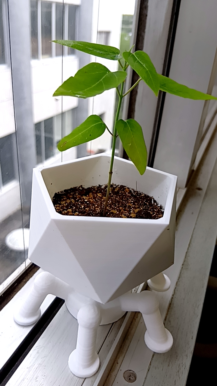 T7 phage-shaped plant pot