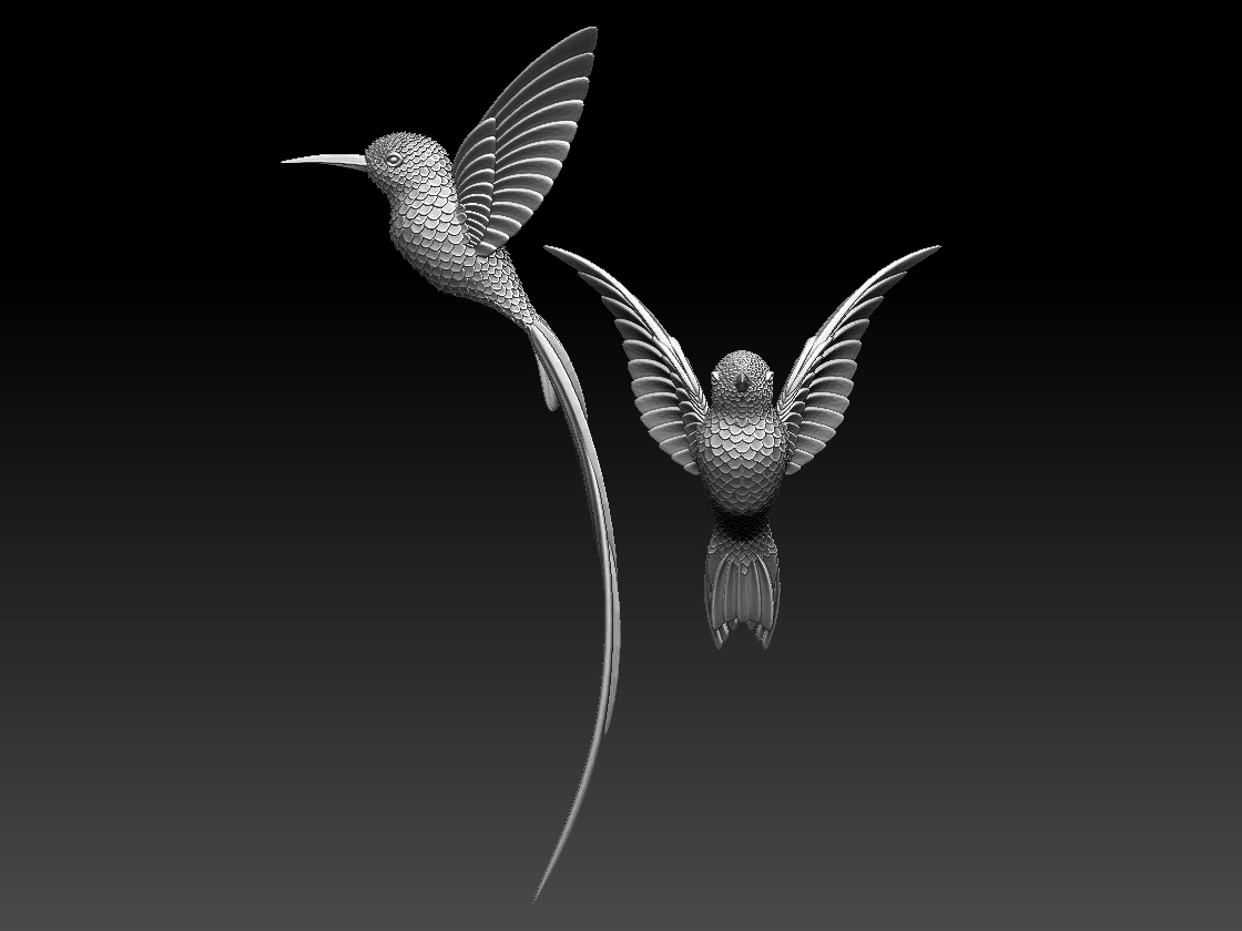 hummingbird — miniatura 10