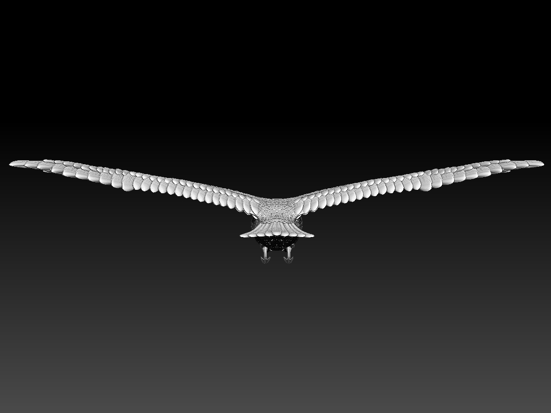 seagull — miniatura 4