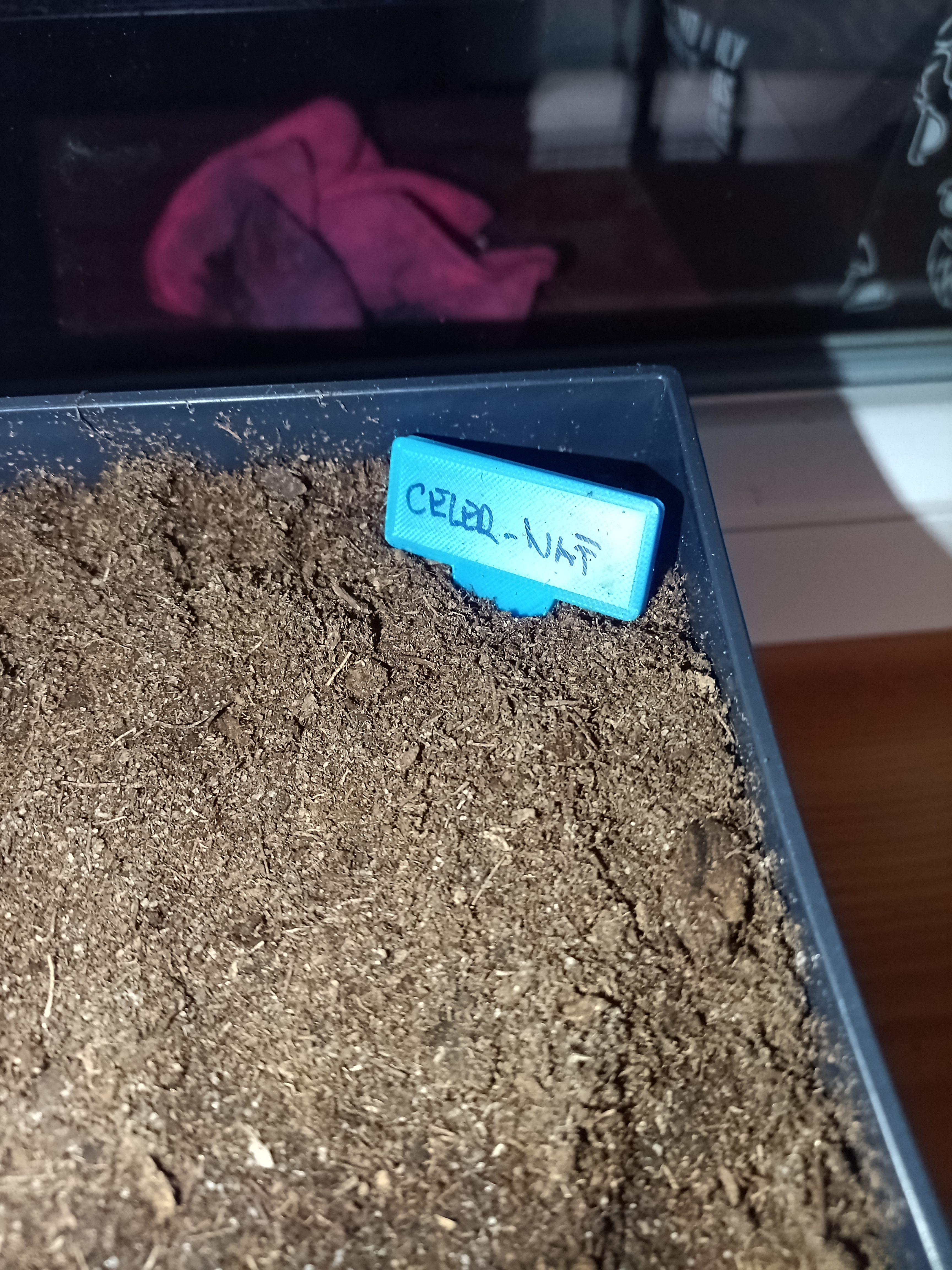 Planting label