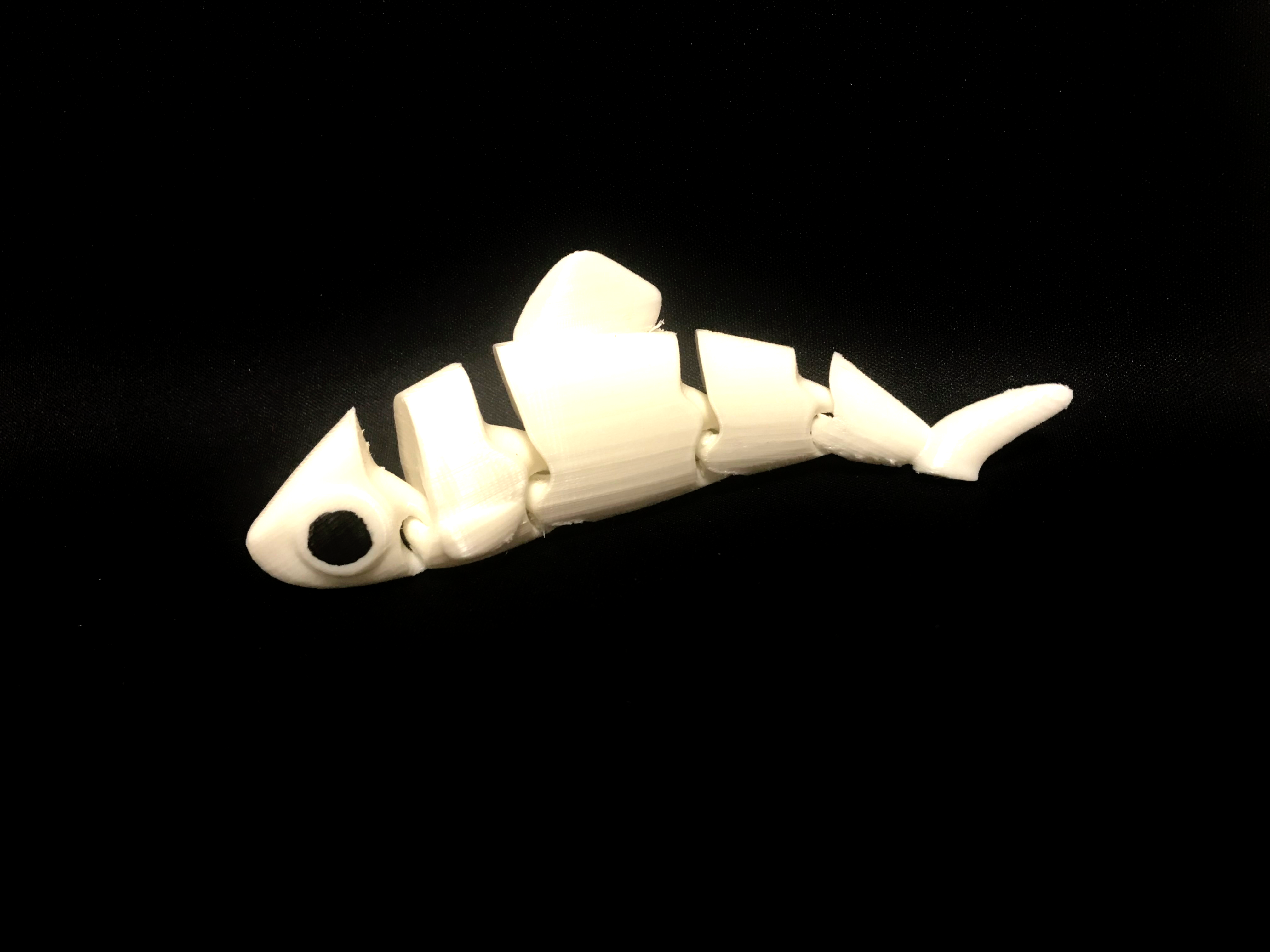 Articulated Cartoon Fish