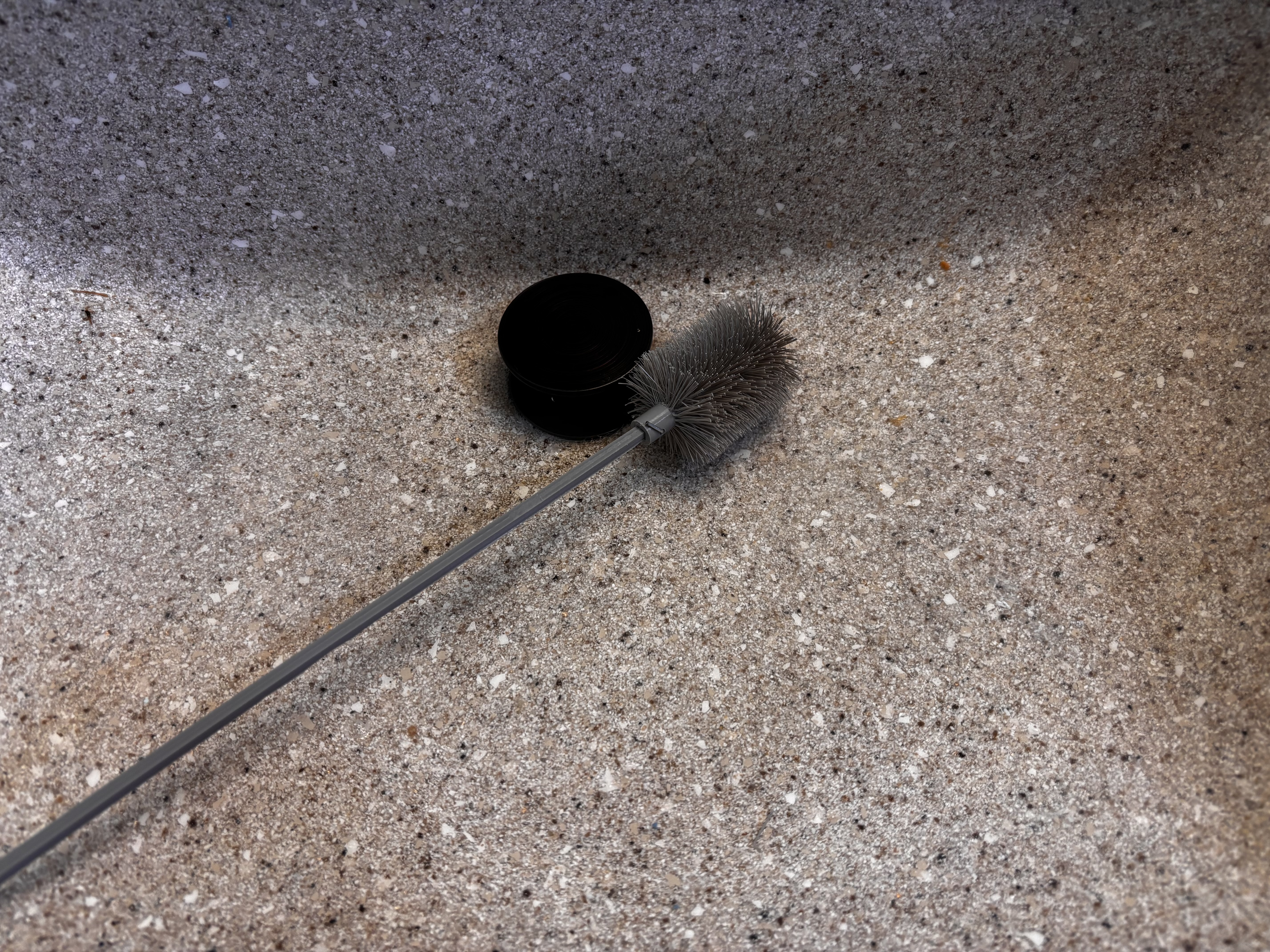 Scrubby brush for drains