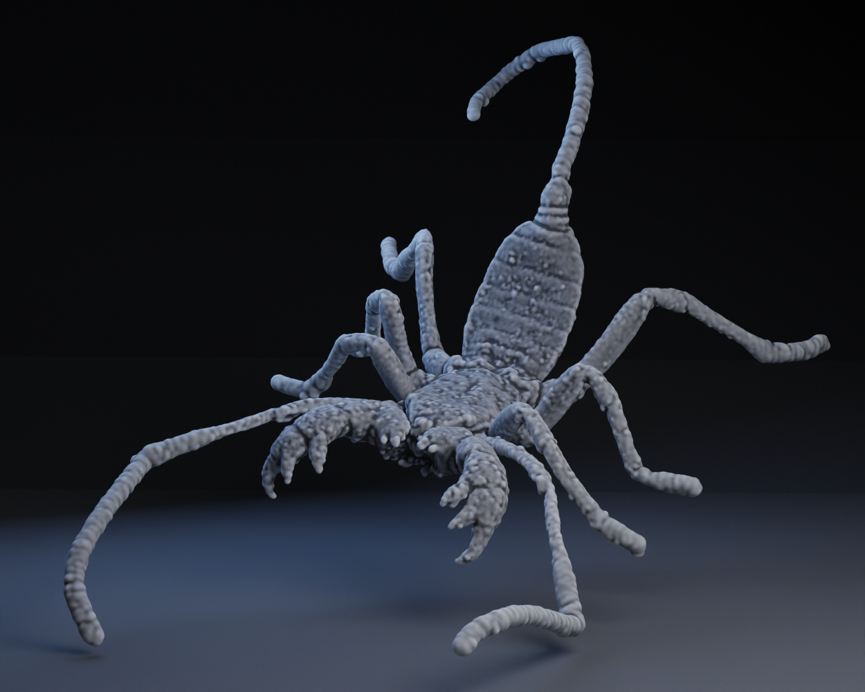 Taiwan Whip Scorpion (Taipei)