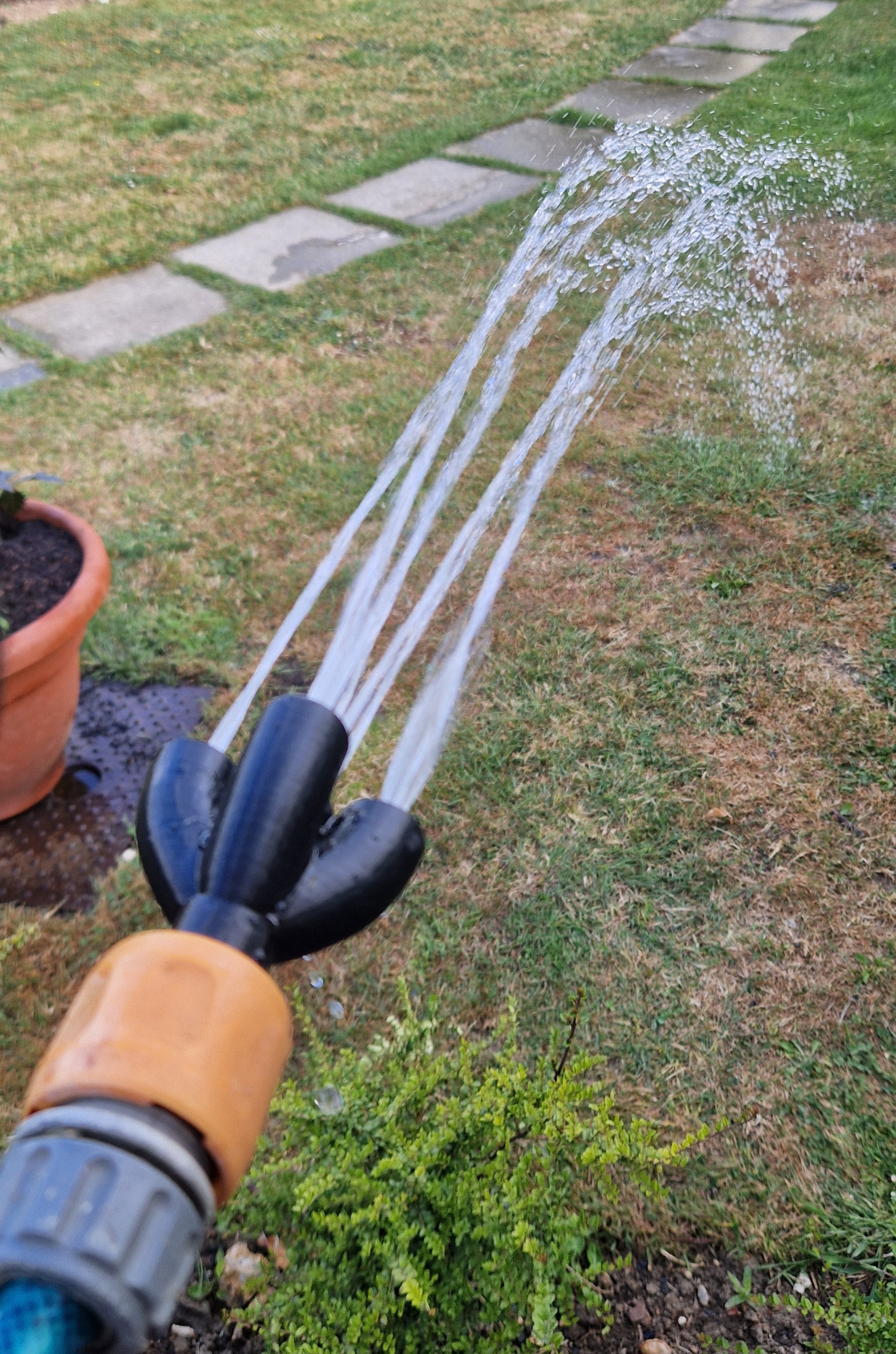 5 Nozzle Waterer