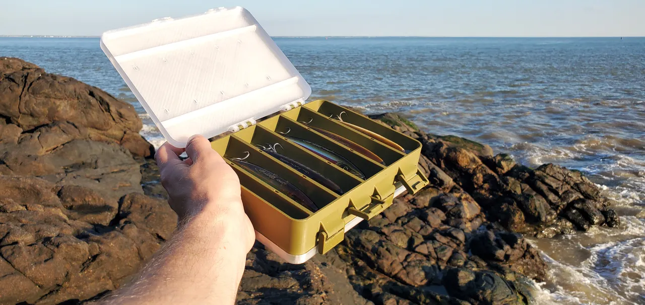 Fishing Lure Box by 3DMadeByLouis | Download STL model