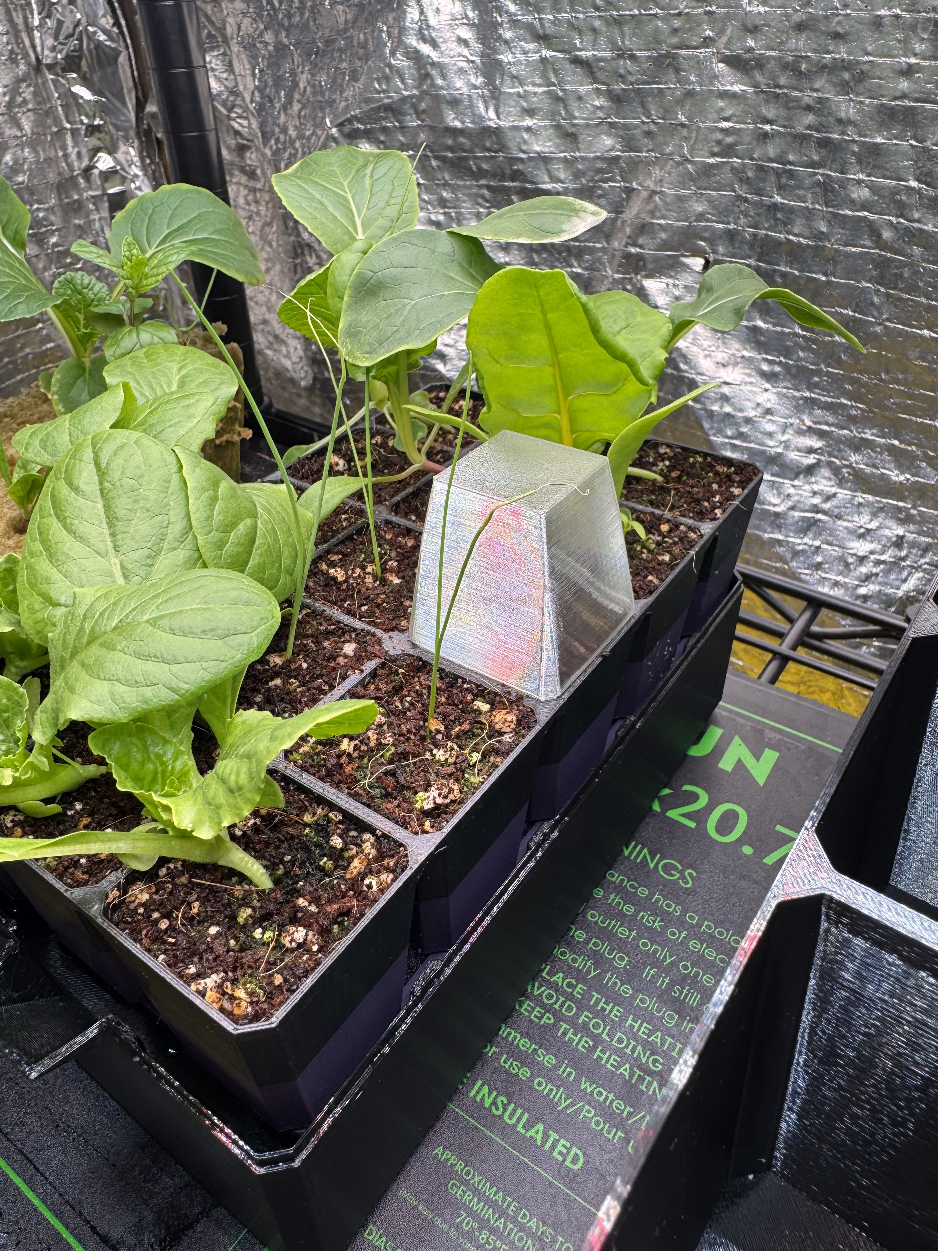 Individual cell domes for Hoocho seedling system