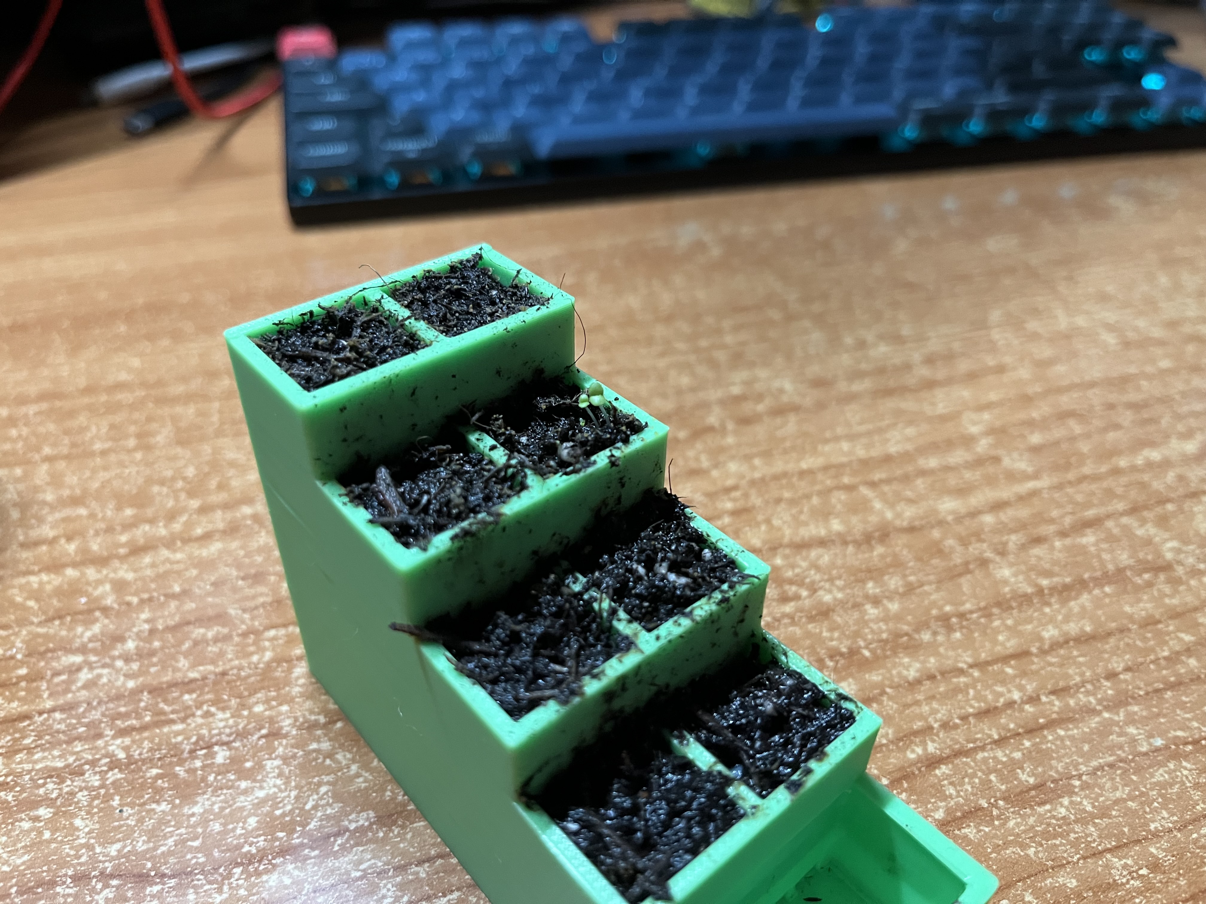 Vertical seedbed — miniatura 2