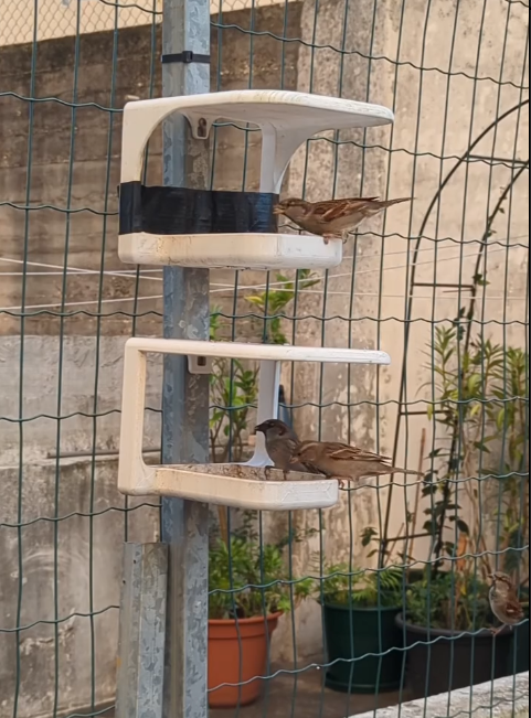 Bird feeder
