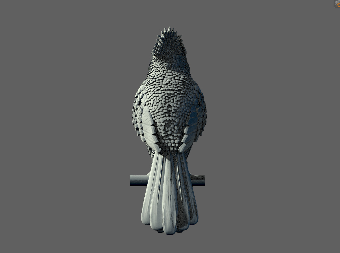 red cardinal — miniatura 2