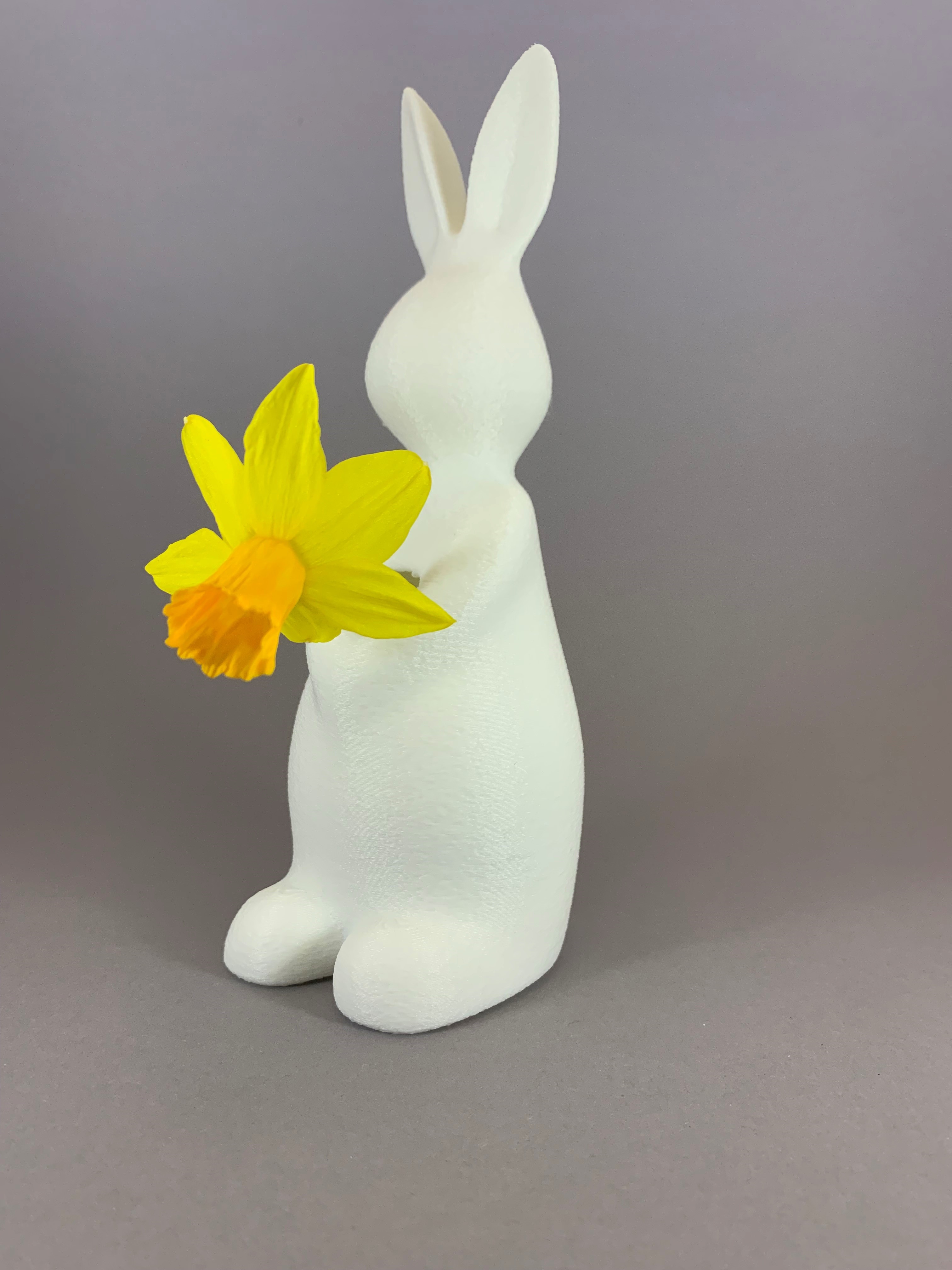 Bunny Vase 'Vaashaas'