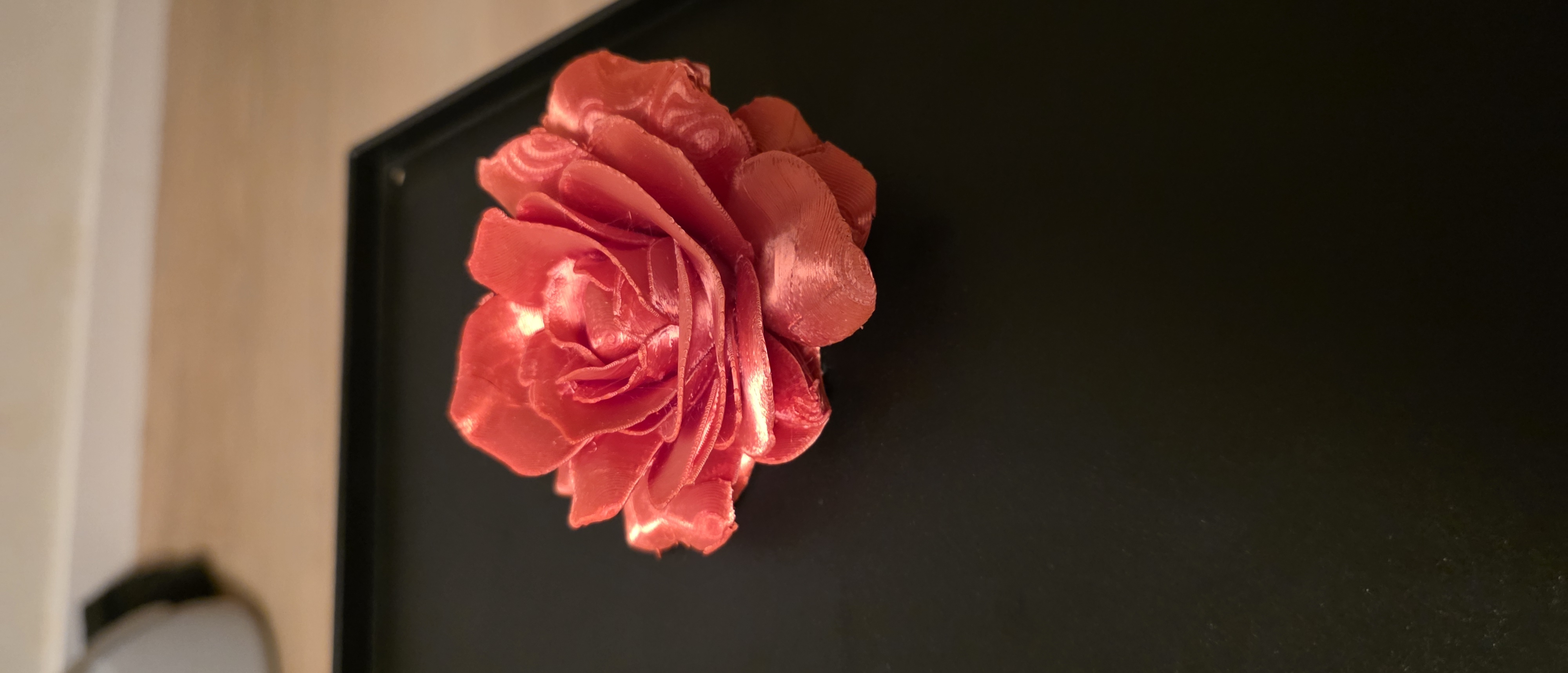 Abracadabra Rose