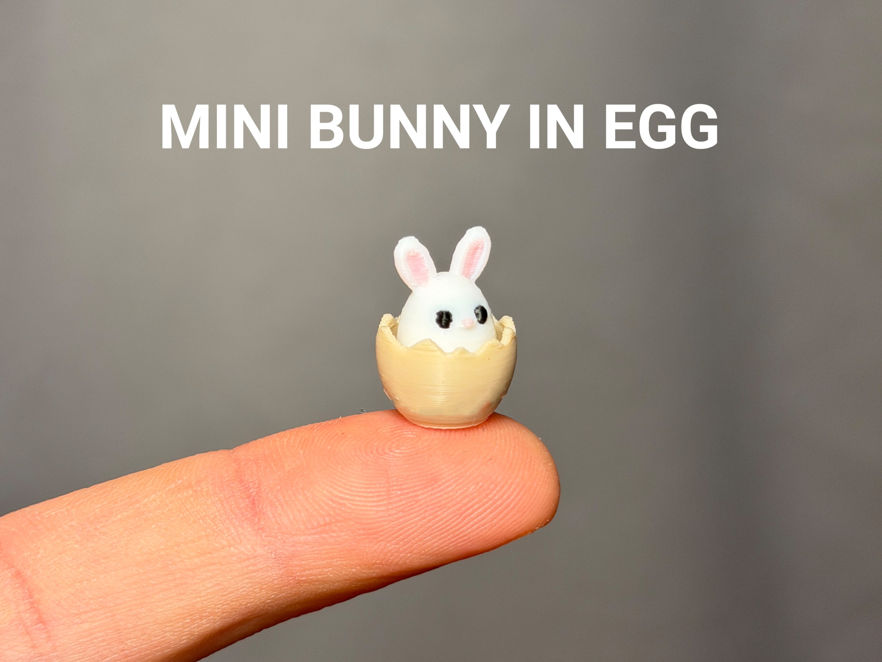Mini Bunny in Egg