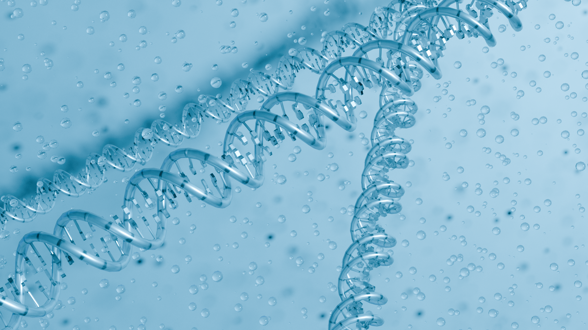 Miniatura 4 do modelo 3D DNA Model