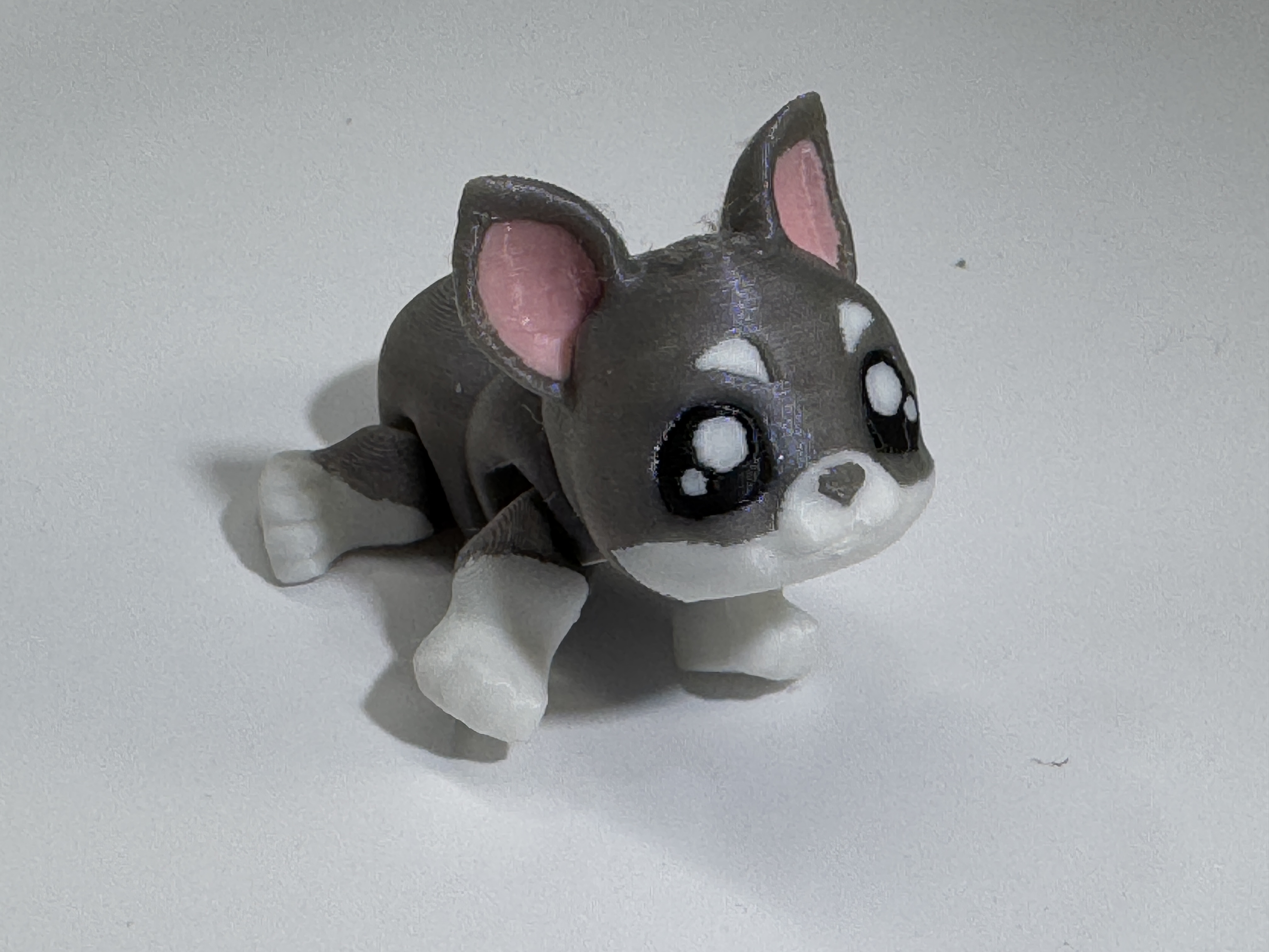 Articulated French Bulldog