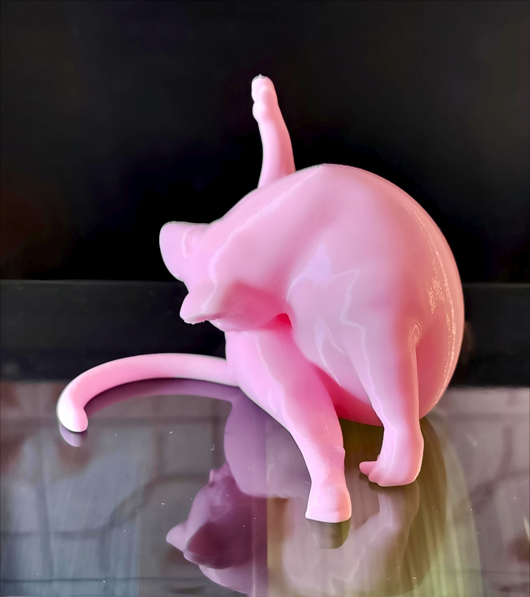 Cat Cleaning Routine — miniatura 4