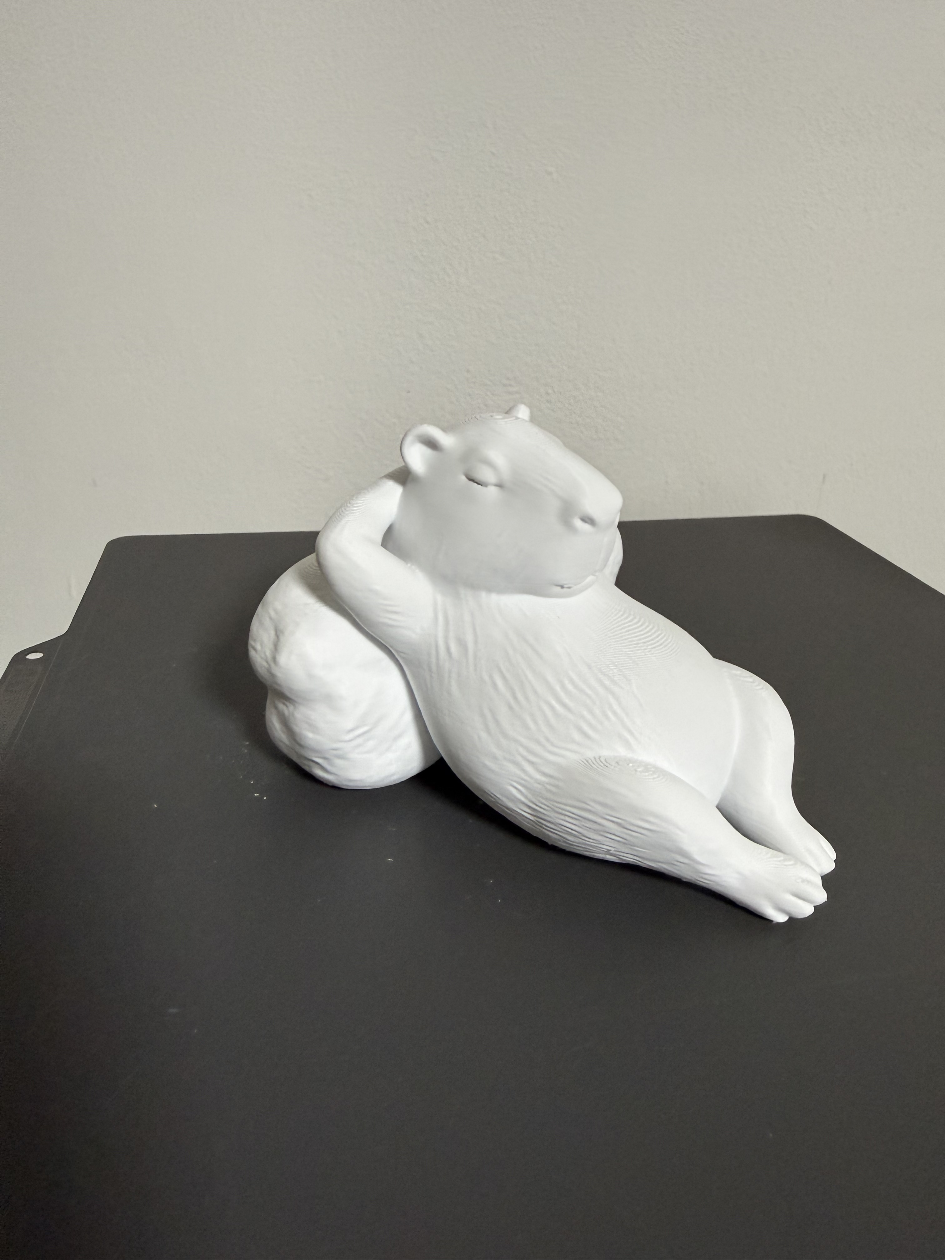 Miniatura 3 do modelo 3D Capibara Relax