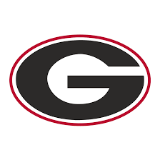 UGA Tray 14in x 14in