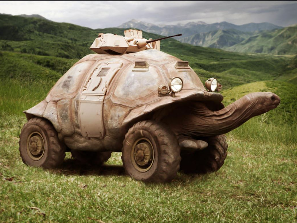 ZPT Turtle