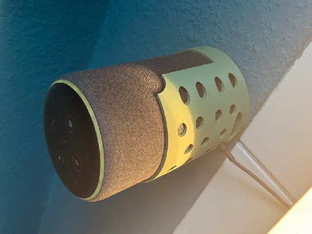 Alexa Wandhalter Echo 3