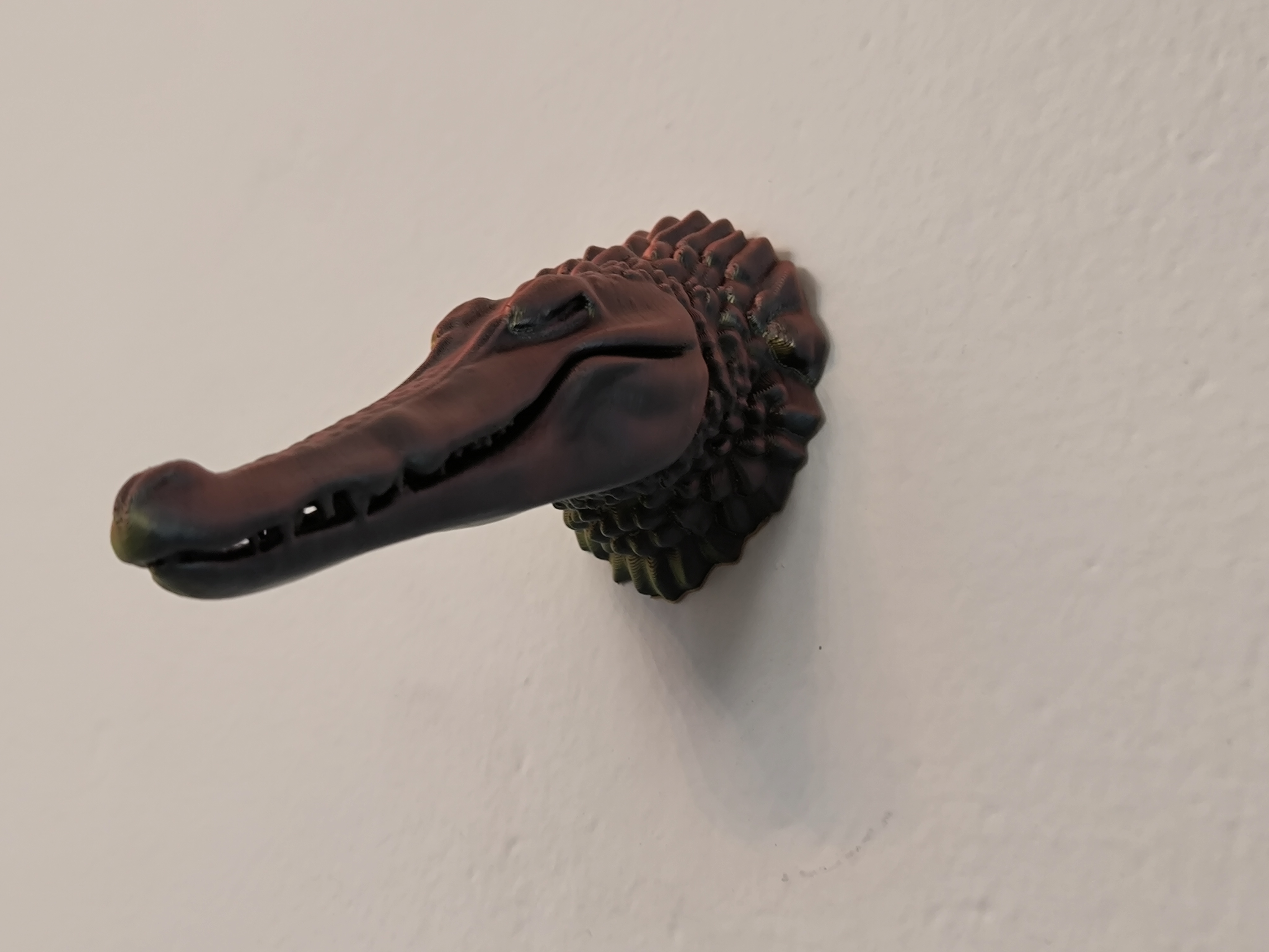 Alligator head - Wall Trophy — thumbnail 5