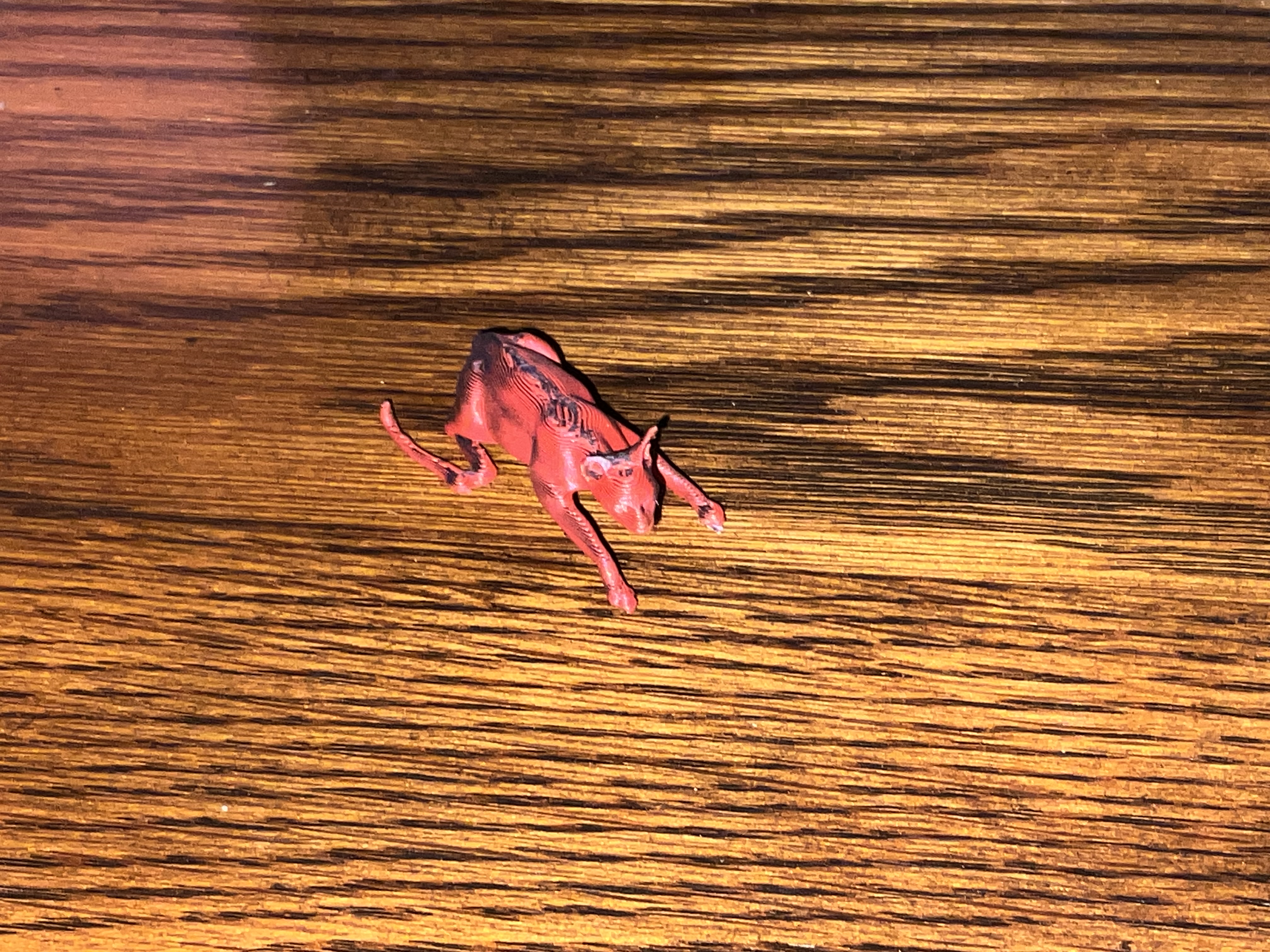 Strange Stretching Cat