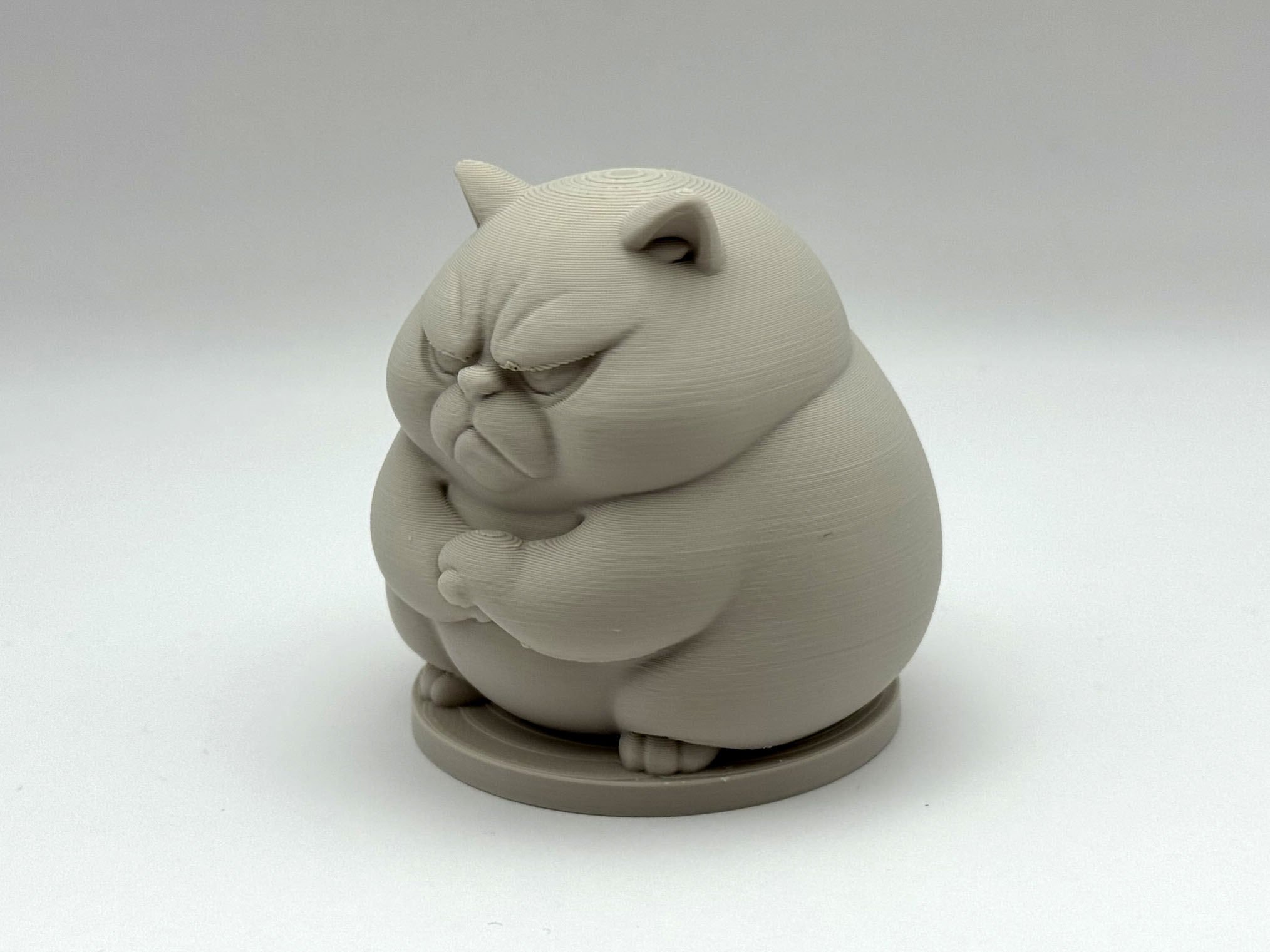 Miniatura 2 do modelo 3D Grumpy Chonk Cat
