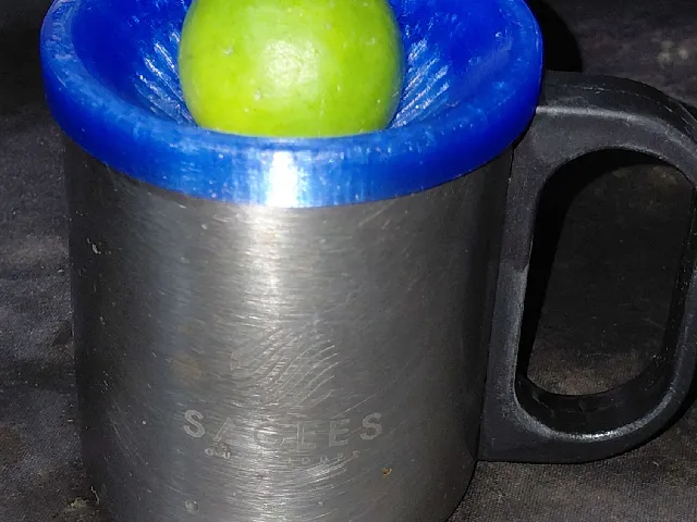 Chinois pour tasse / strainer for a cup