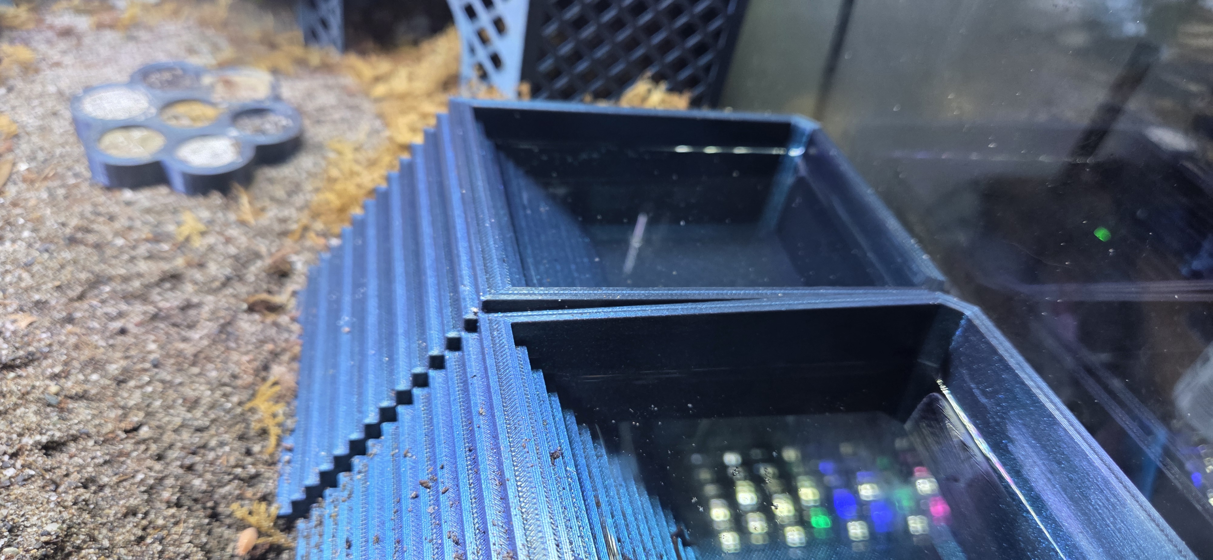 Hermit Crab Water Dish