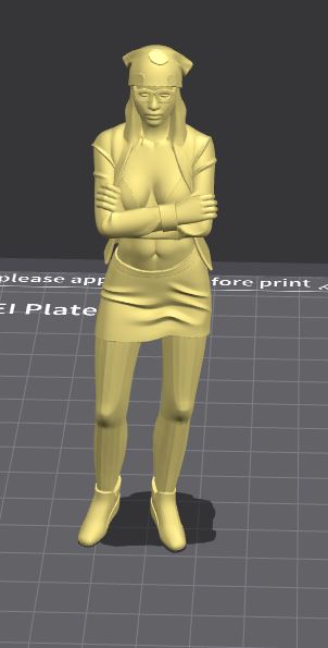 Personaje femenino  de GTA5 " The Lost" / Female character from GTA 5 "The Lost"
